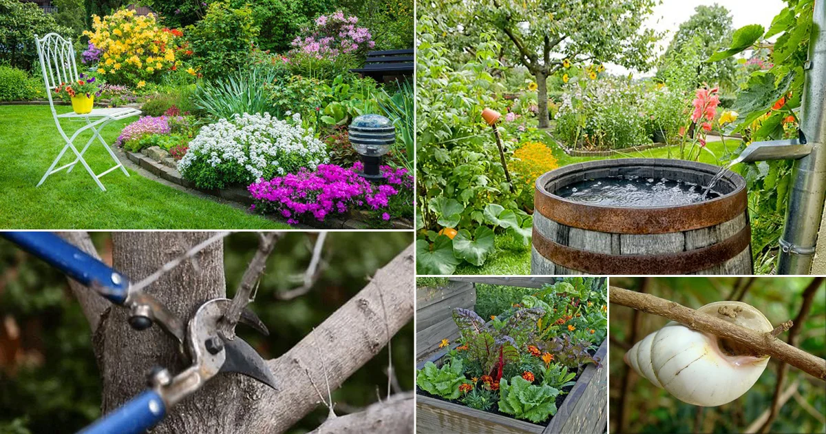 Master Your North Carolina Garden: Top 10 Garden Tips & Tricks