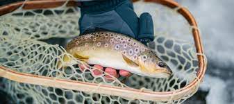 10 Best Fishing Locations in Pennsylvania