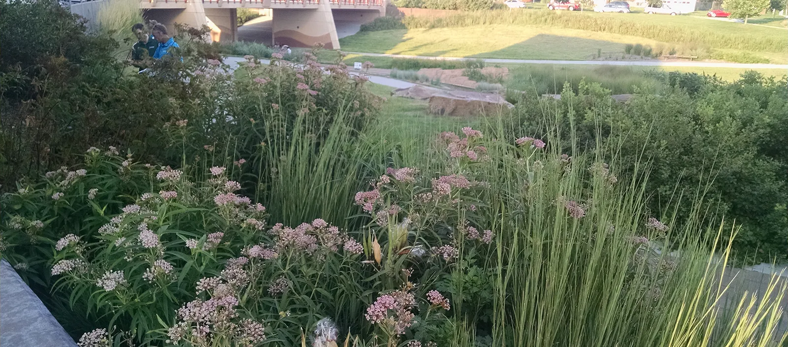Nebraska Arboretum Gets M Boost for Urban Trees