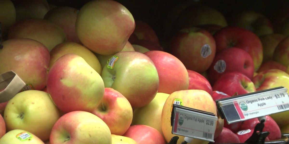 Marquette Co-op’s Special Discounts for National Co-op Month