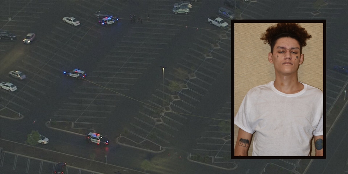 15-year Prison Verdict for Chandler Mall Gunman