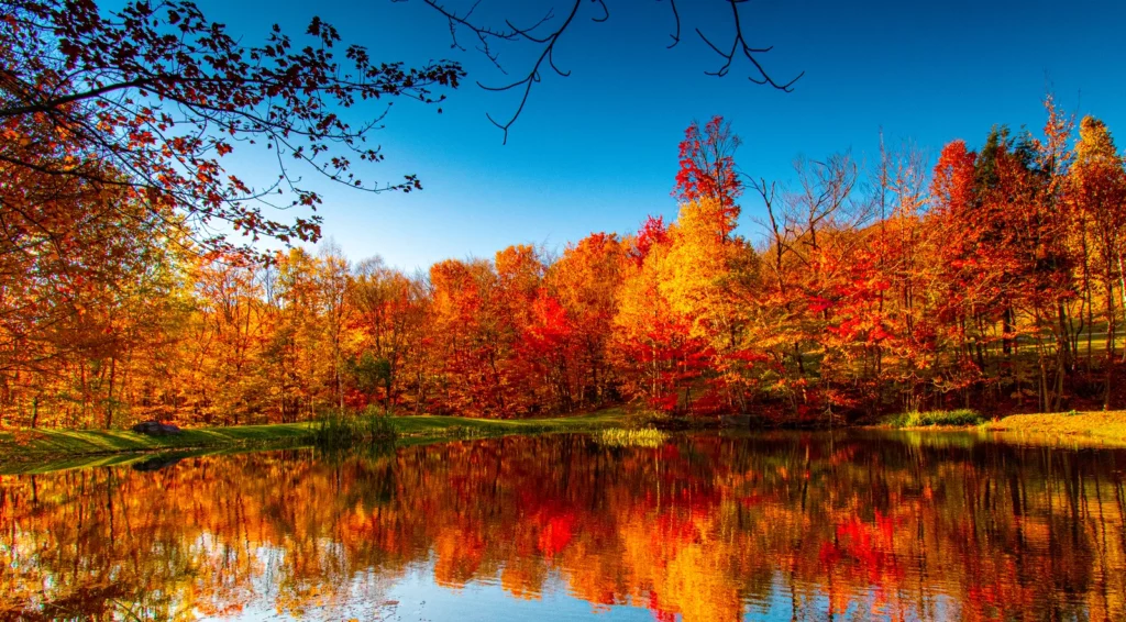 The Best Fall Colors Can Be Found in These Small PA Towns