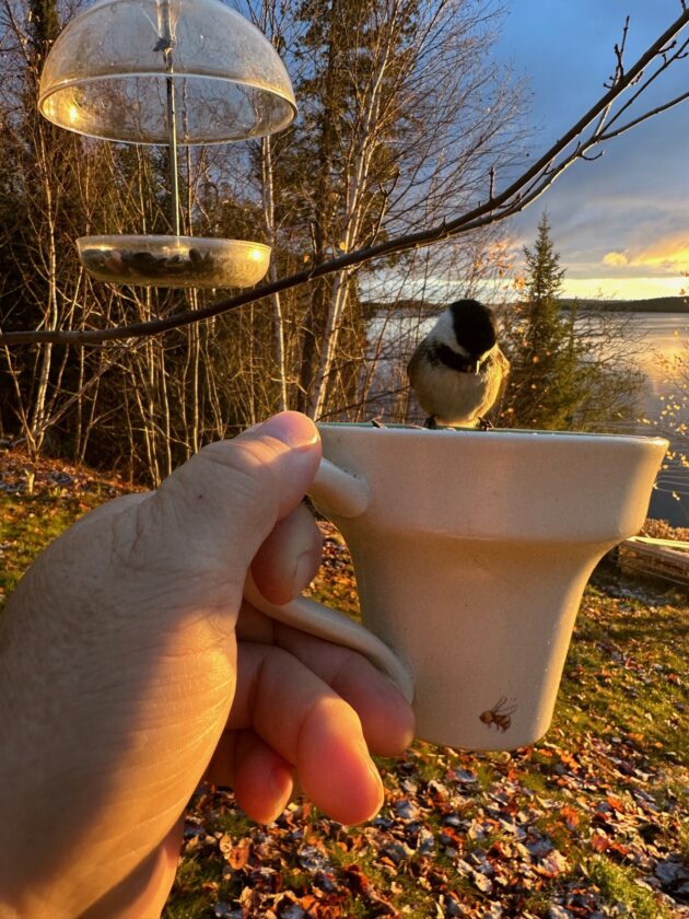 Spectacular Marquette Morning Updates: Sports & Jobs News