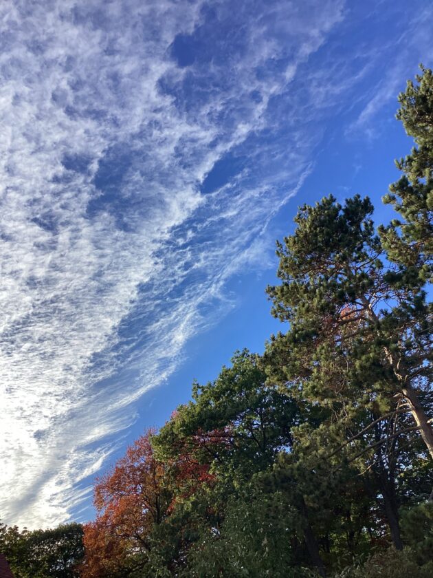 Latest Marquette Sky Updates: News, Sports & Jobs