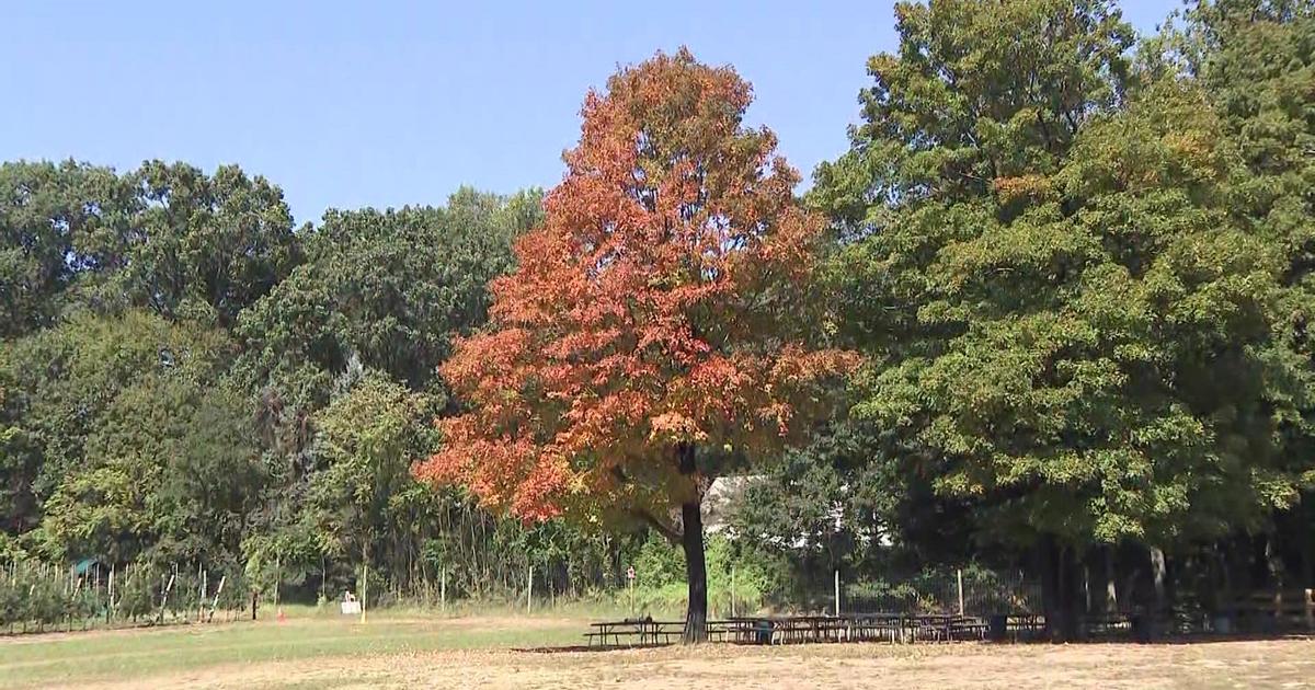 Keystone State Park Rated Among Top Spots in America for Fall Foliage Viewing