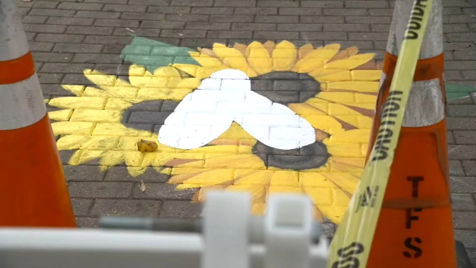 Hailey Brooks’ Legacy: Inspiring Artist’s Vibrant Memorial Mural