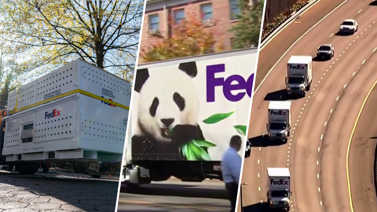 National Zoo Pandas Depart DC for China – NBC4 Washington