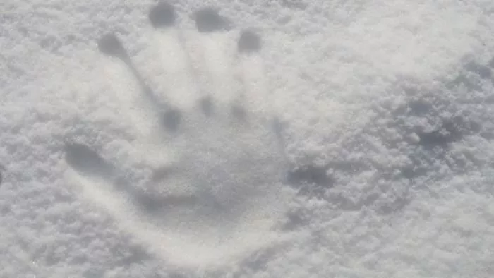 Top 10 Ann Arbor Warming Centers to Beat the Cold