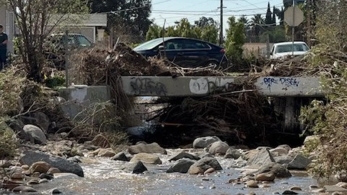 Chollas Creek Debris Causes Home Flooding, Claim San Diego Residents