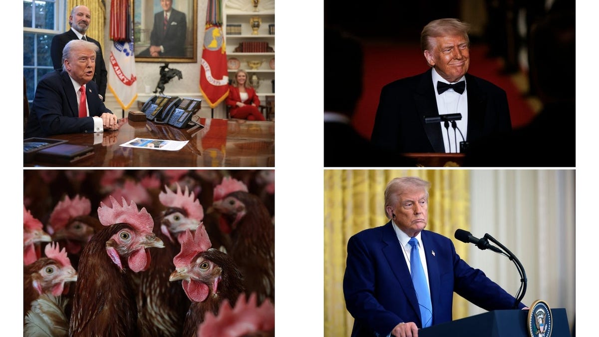 Trump’s Tariffs and ‘Gold’ Visas Impact Economy, Egg Prices Surge: Roundup