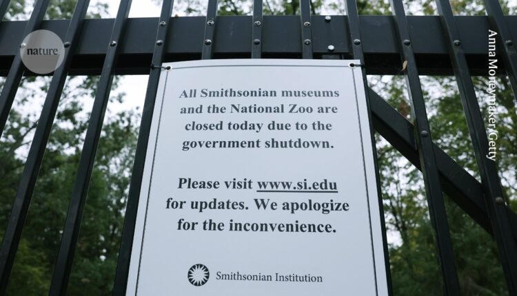 Scientists lose jobs and grants as US government shutdown takes a toll