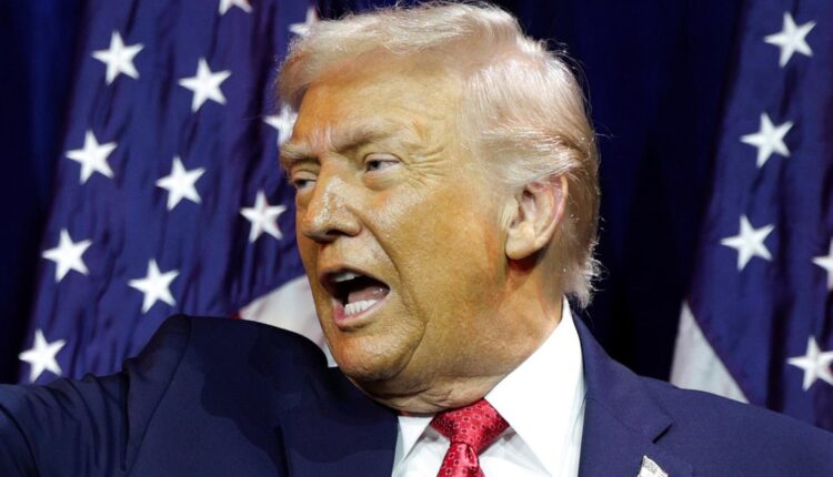 Trump reacts to ICE agent fatally shooting woman in Minneapolis