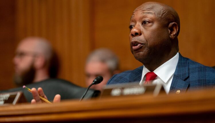 Senate GOP campaign chief privately says party is in "fight for our lives," but sees path to midterm win