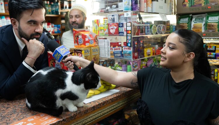 Comedian Michelladonna interviews New York City Mayor Zohran Mamdani while he visits Court Side Deli in the Bronx.